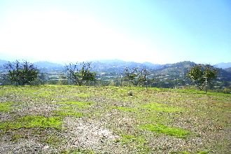 Propiedad 32