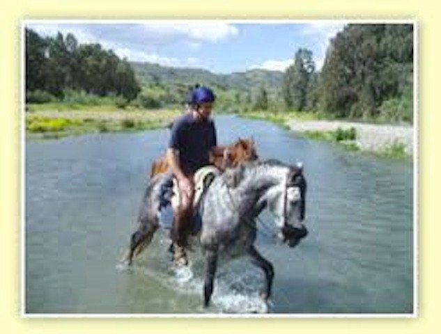 Propiedad 35
