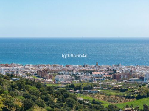 R5154655