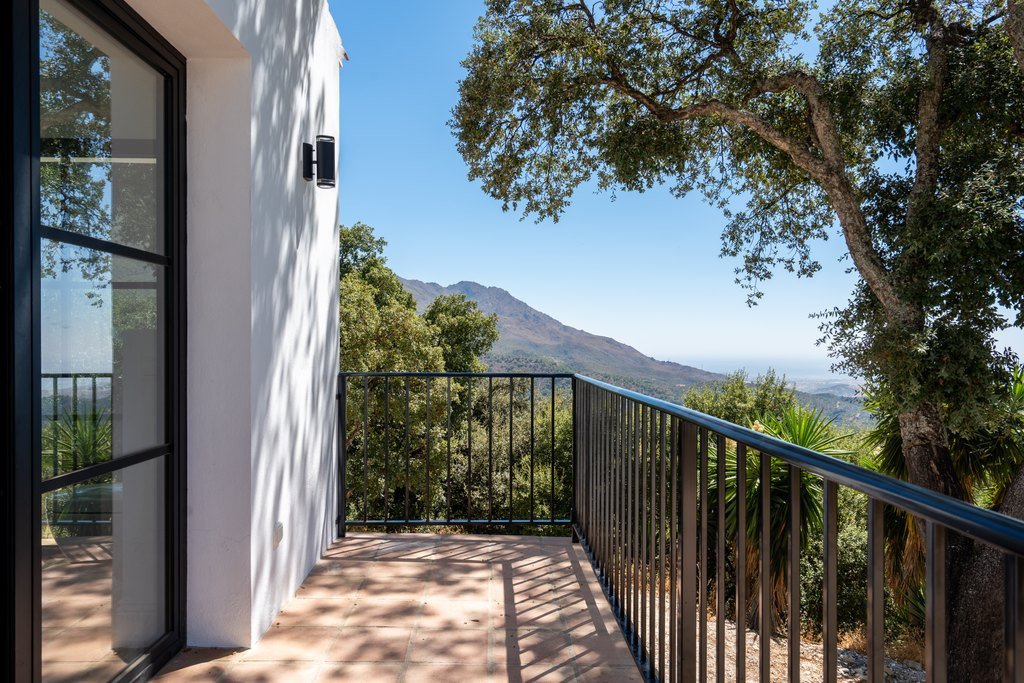 Propiedad 24