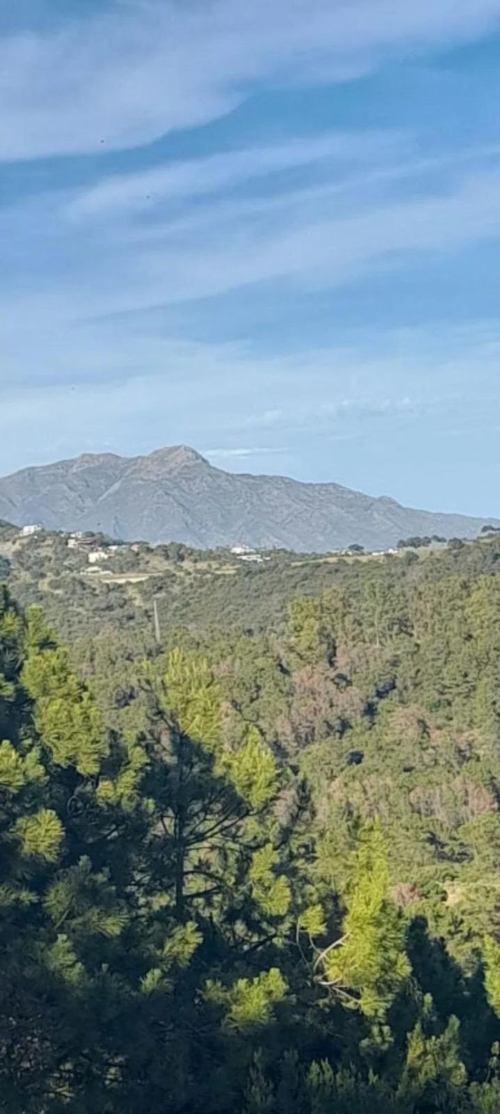 Propiedad 6