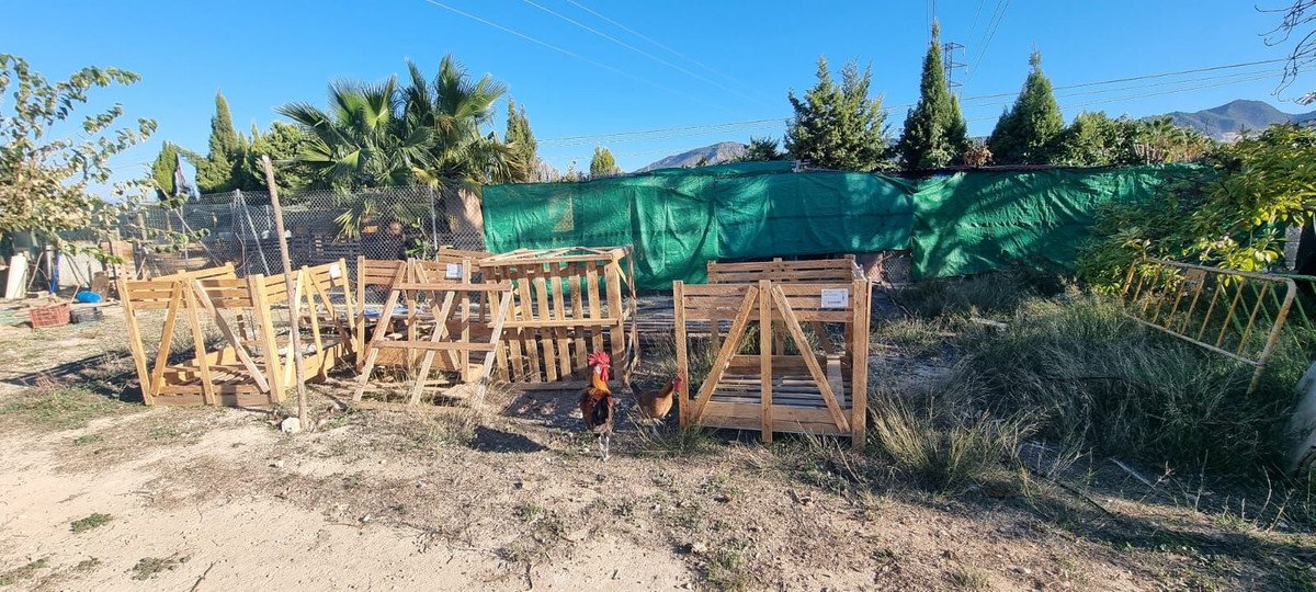 Propiedad 32