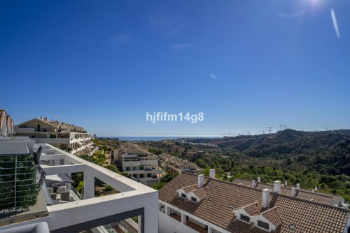 R5186590