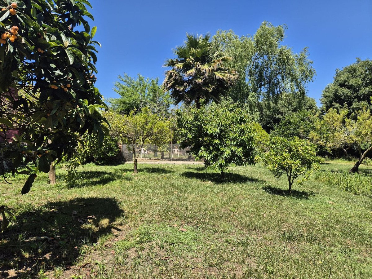Property 29