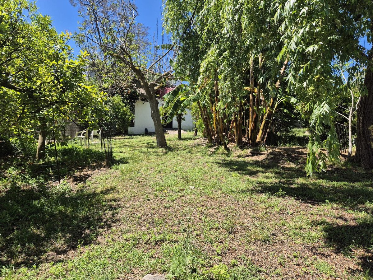 Property 31