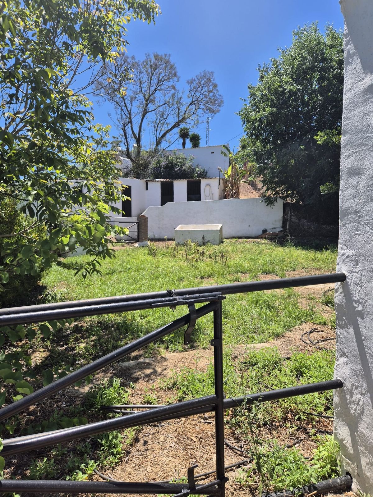 Property 34