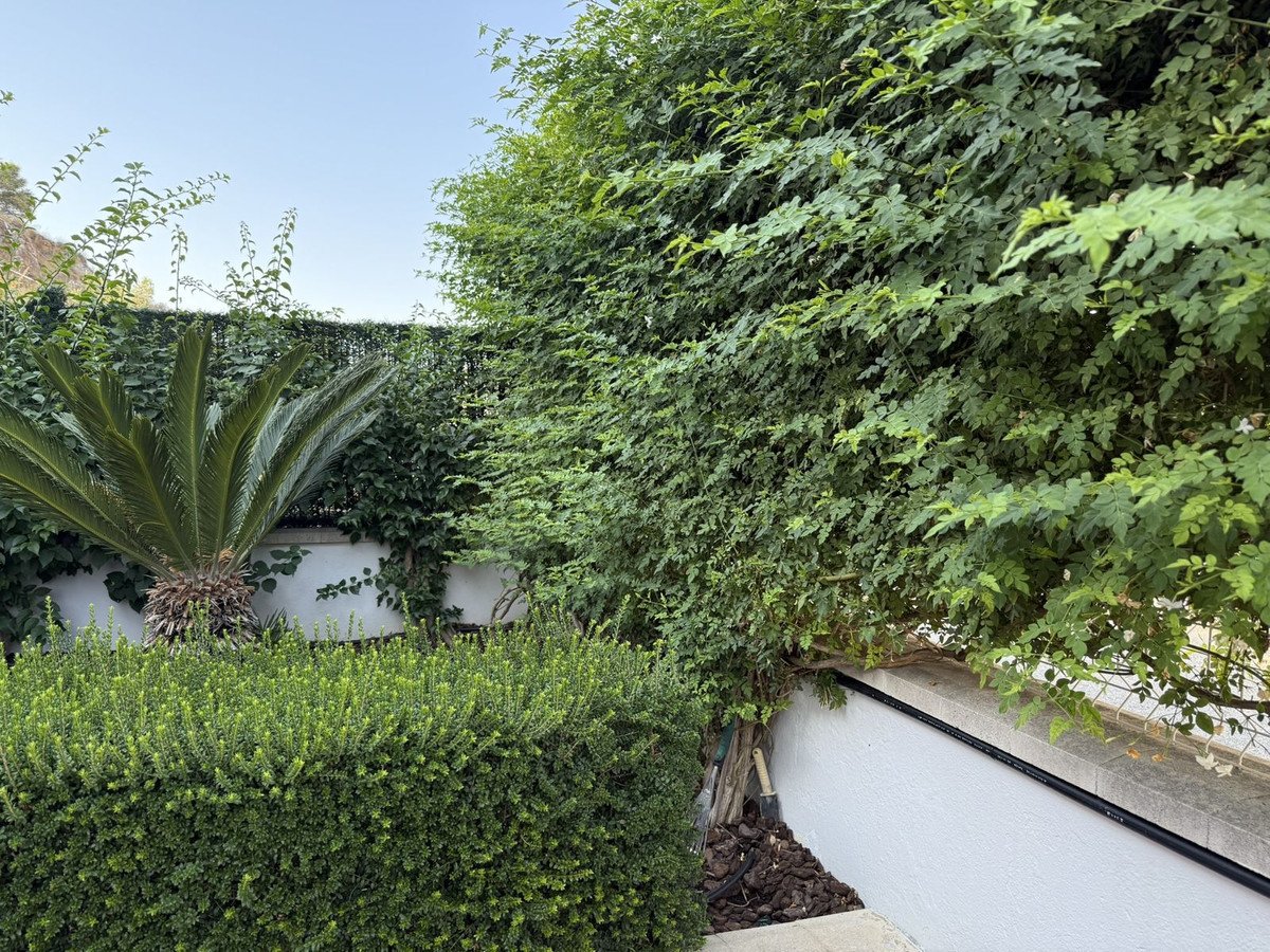 Property 31