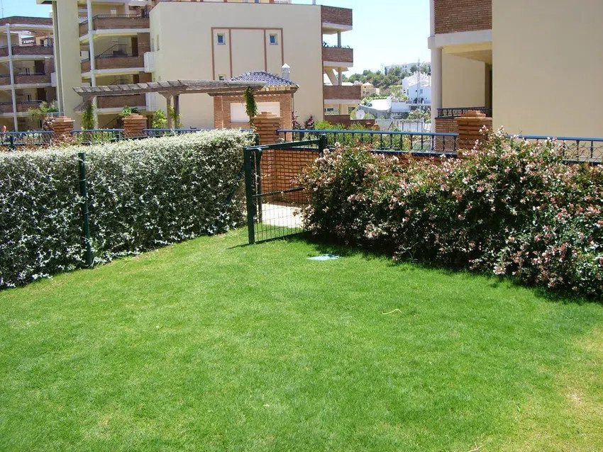 Property 5
