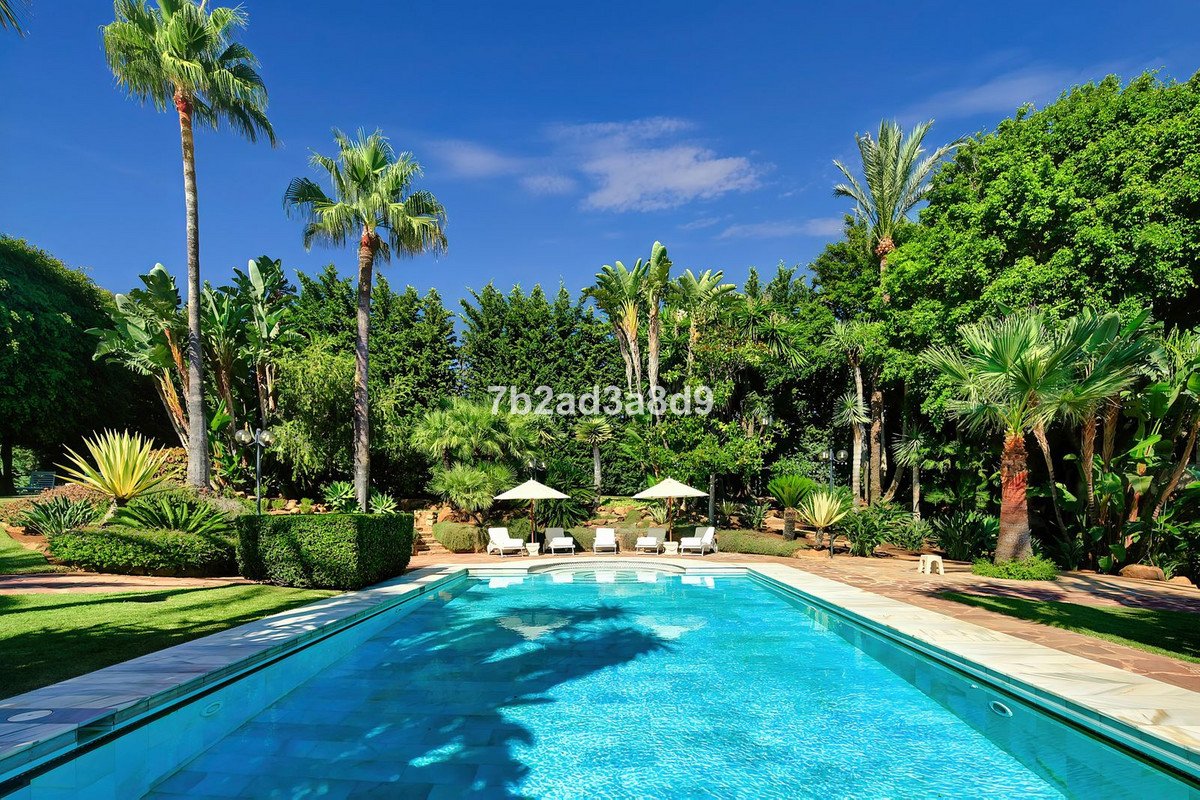 Property 31