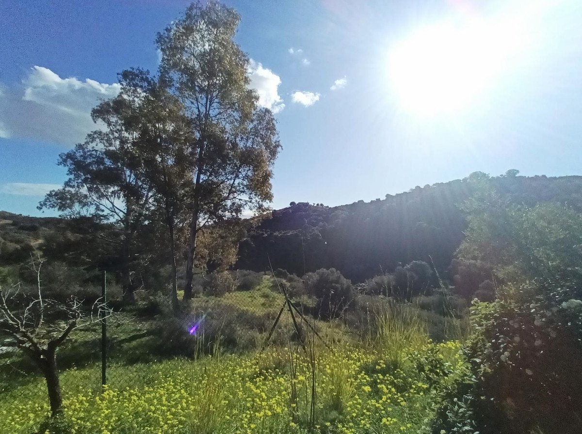 Propiedad 35