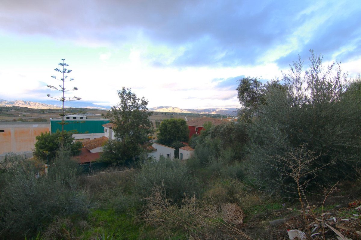 Property 8