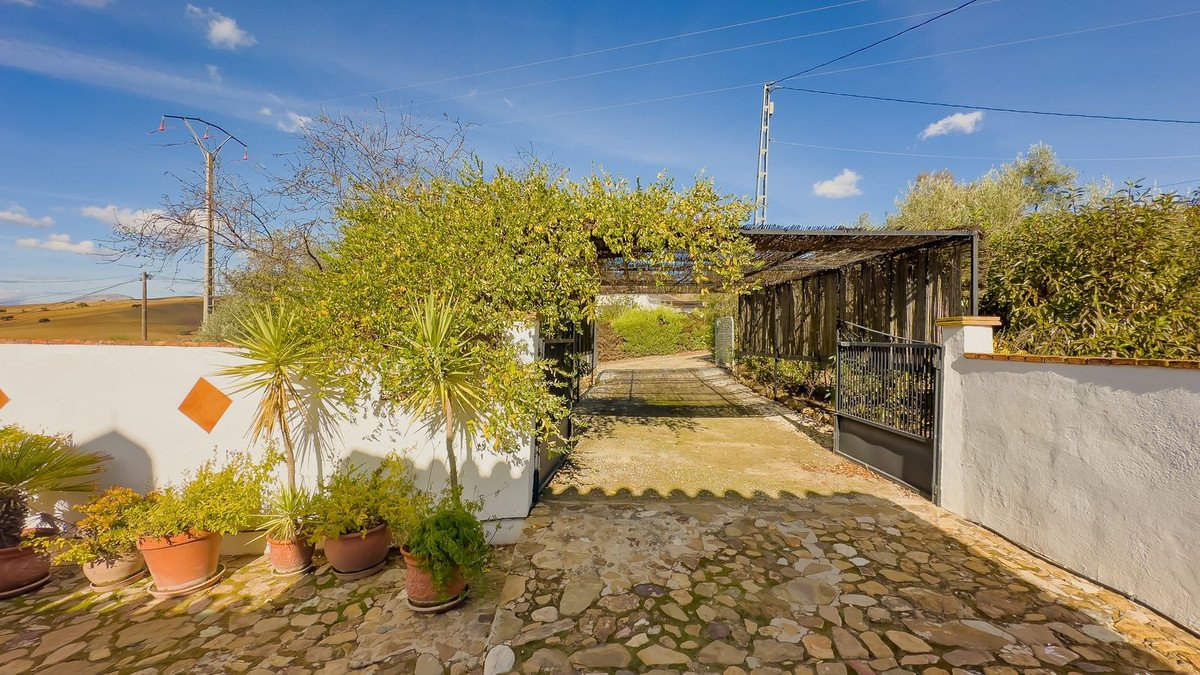 Property 12