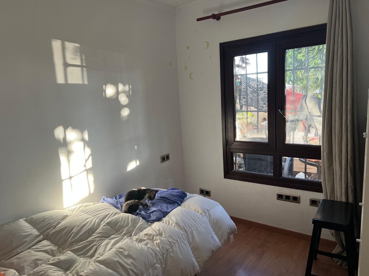 Property 19