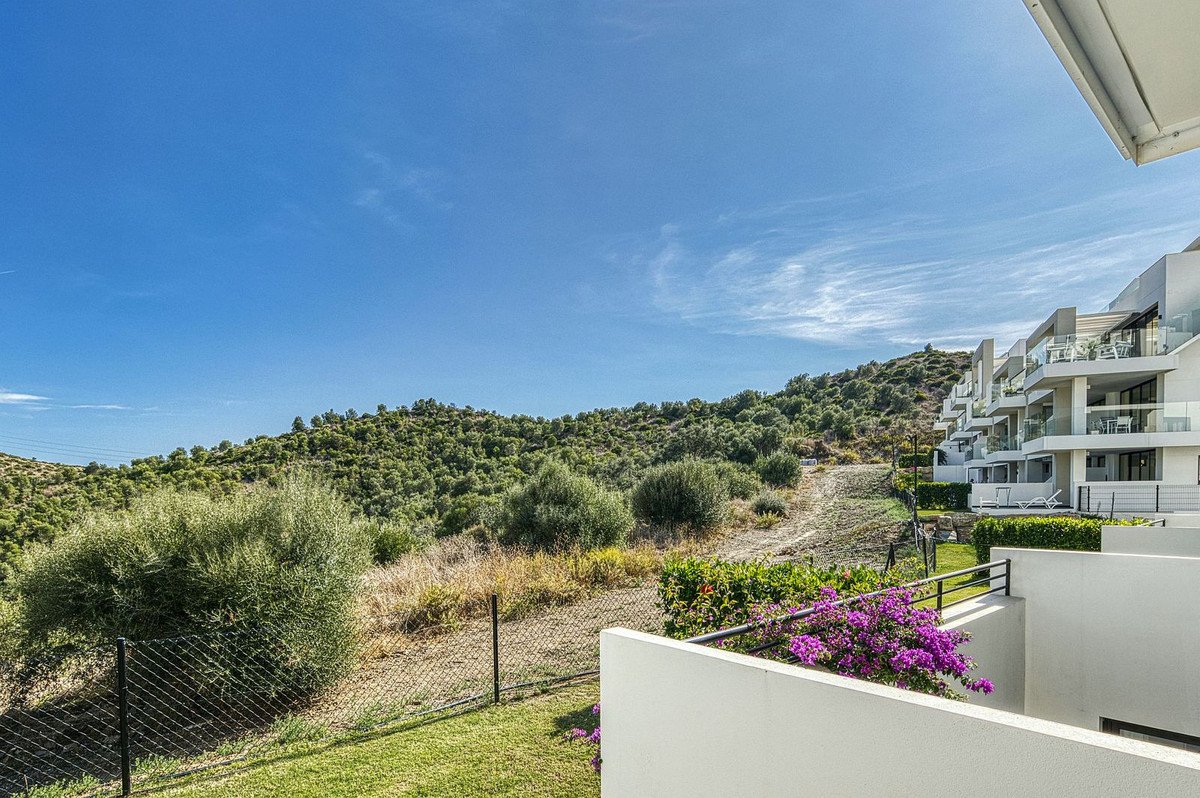 Property 32