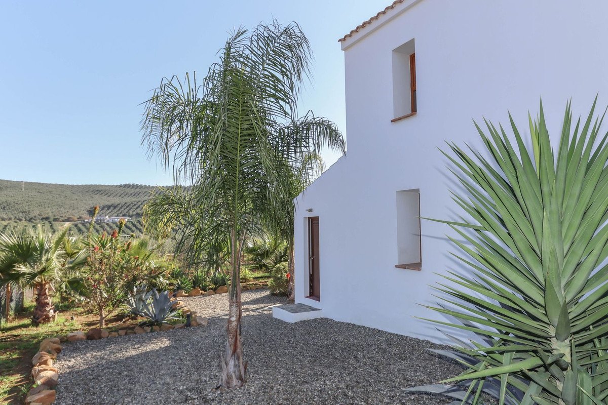 Property 55