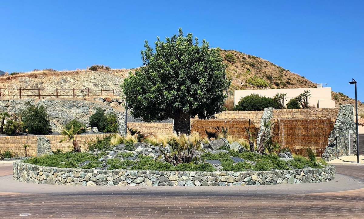 Property 24