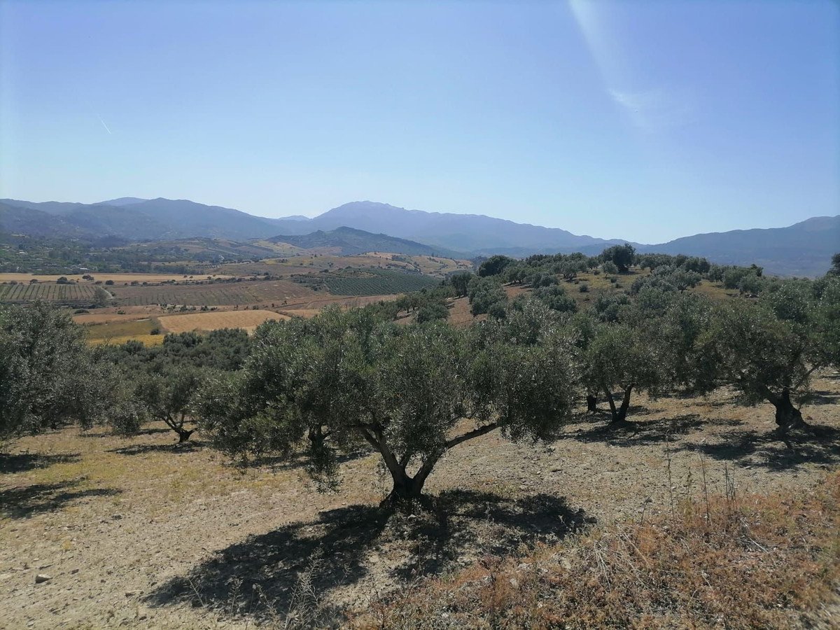 Property 3