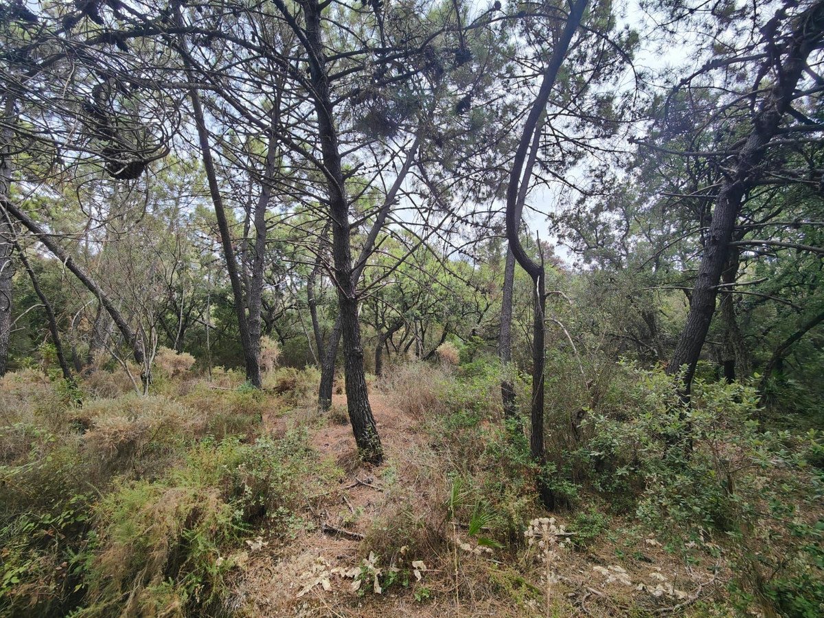 Property 4