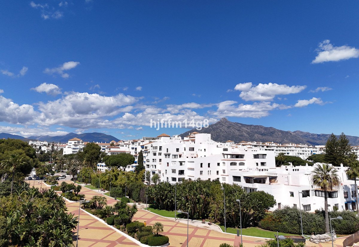 Property 29