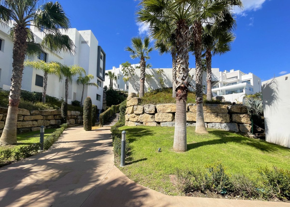 Property 26