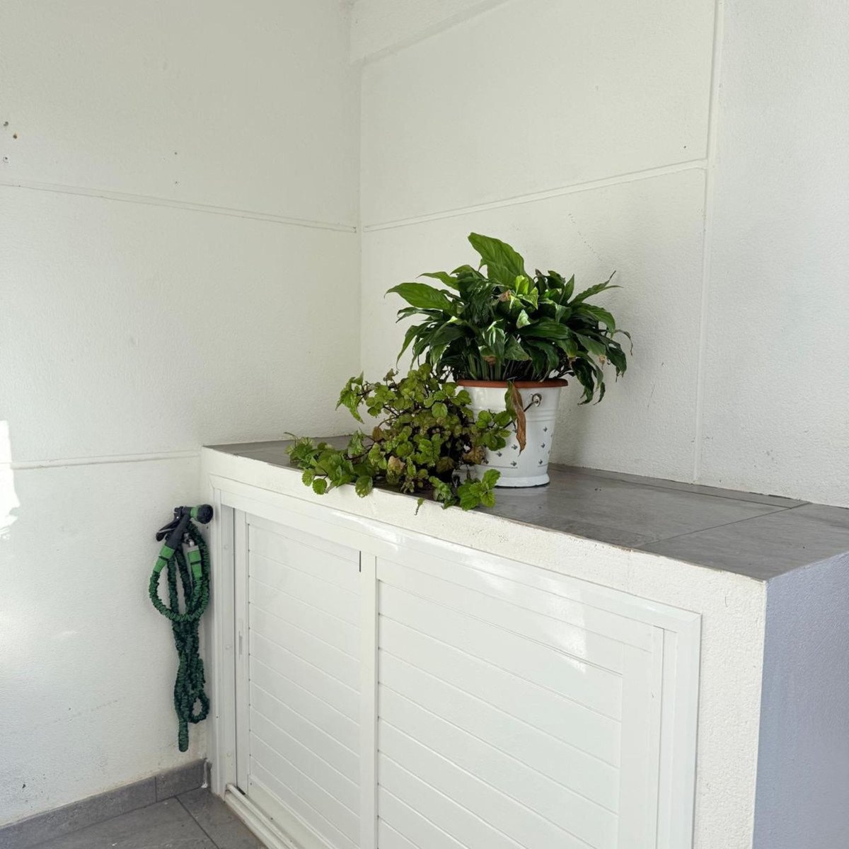 Property 24