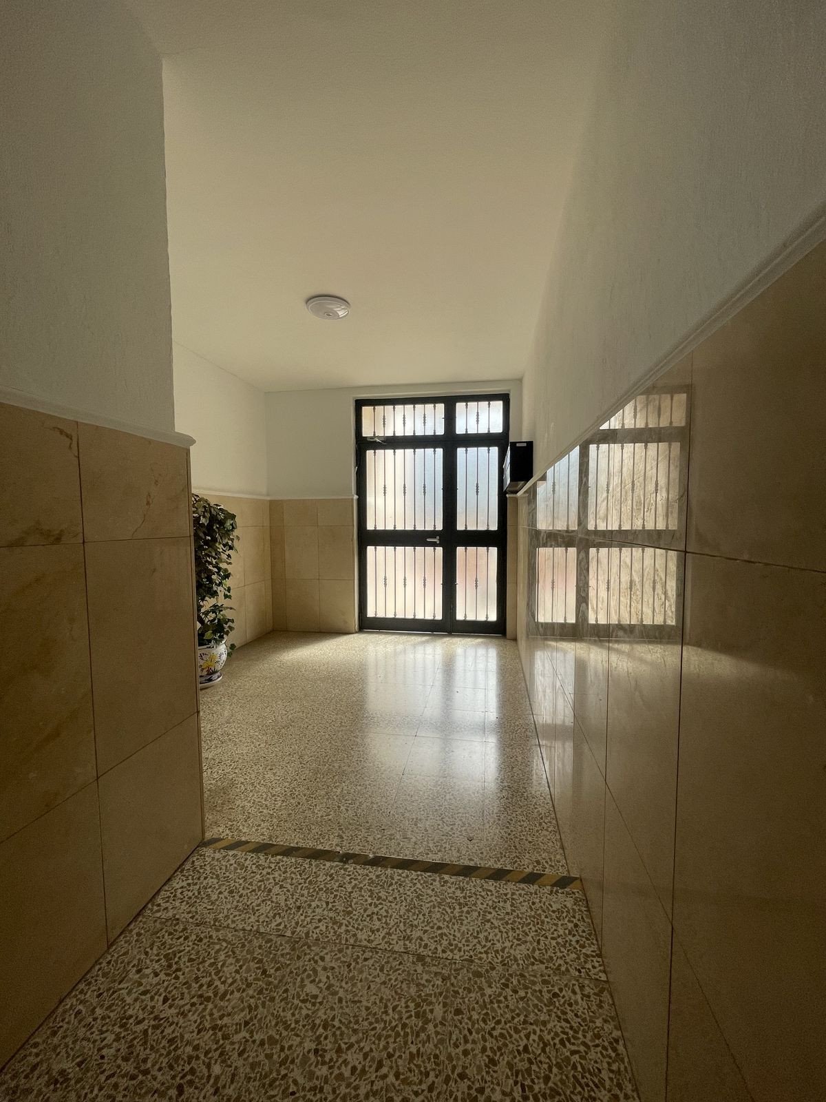 Property 24