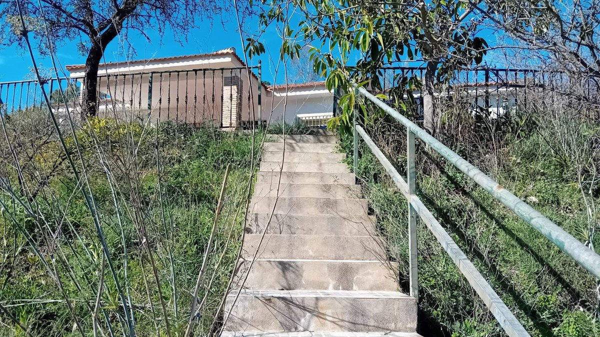Property 29