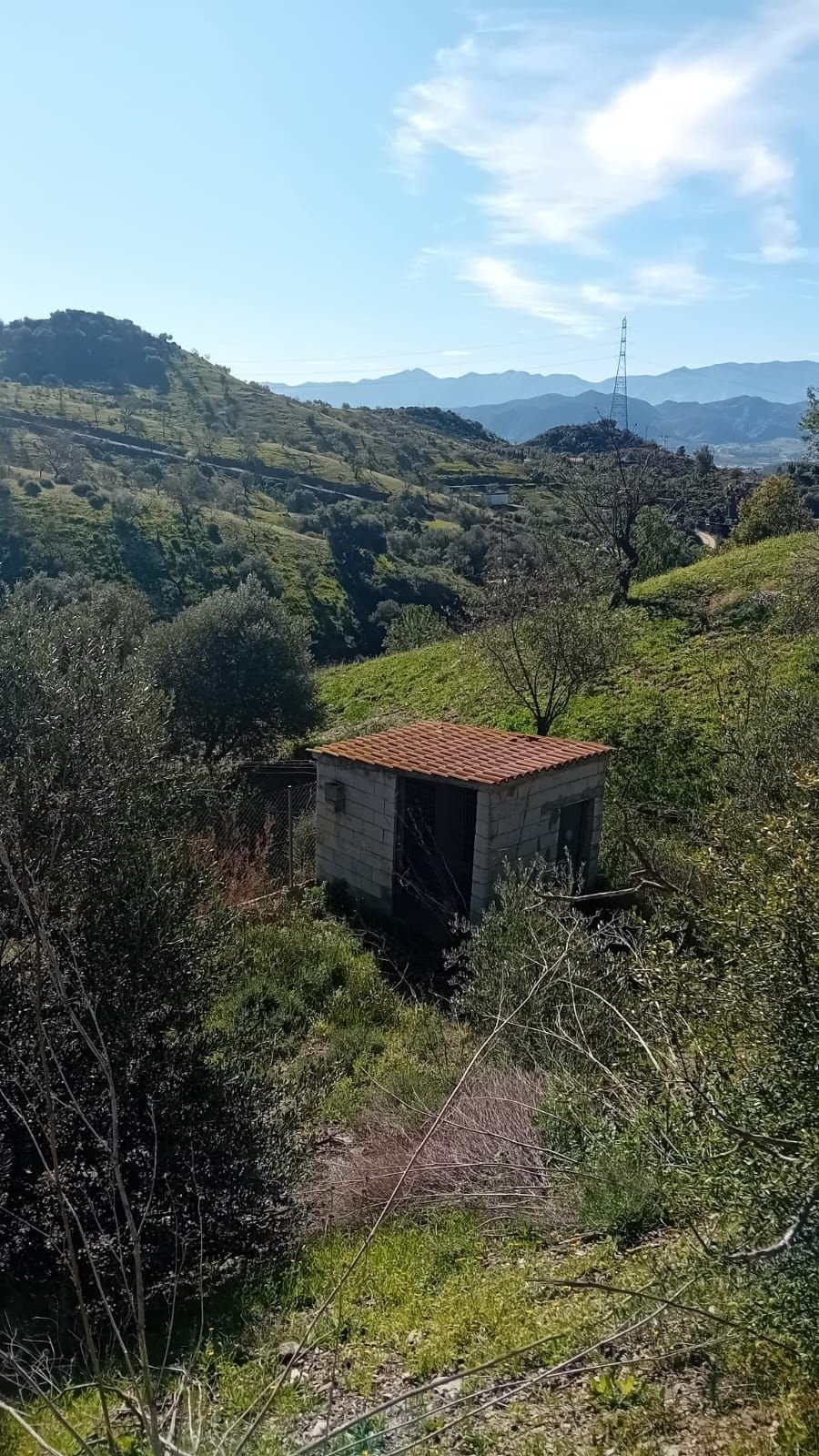 Property 37