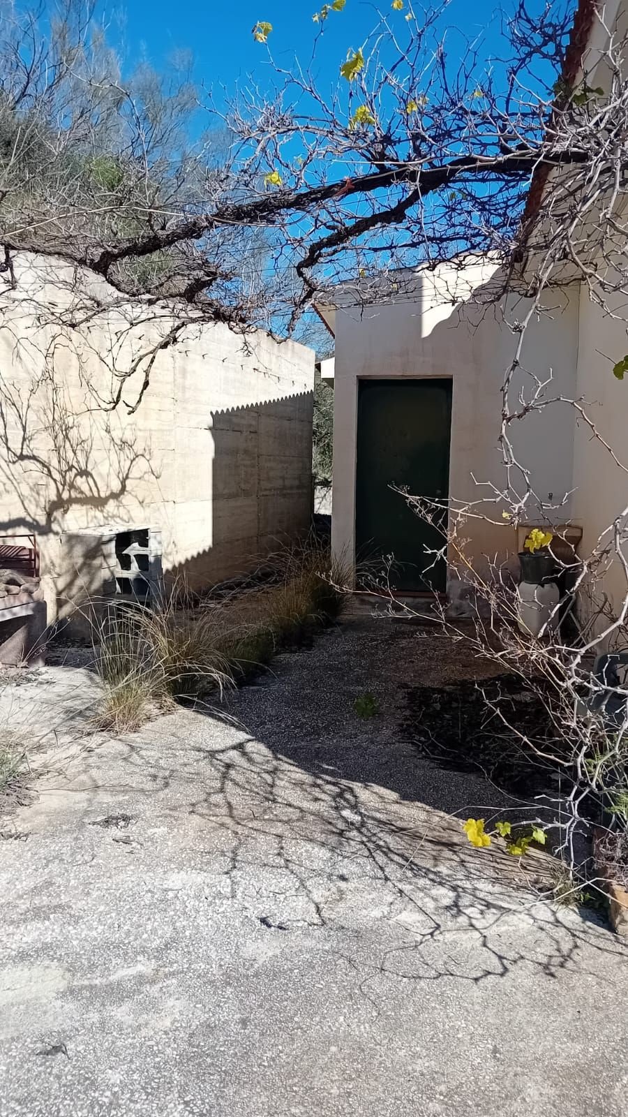 Property 8