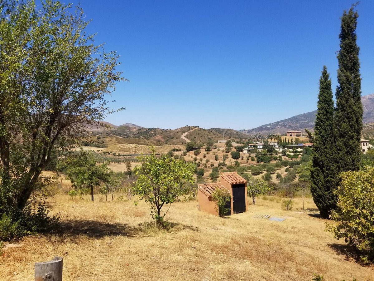 Property 38
