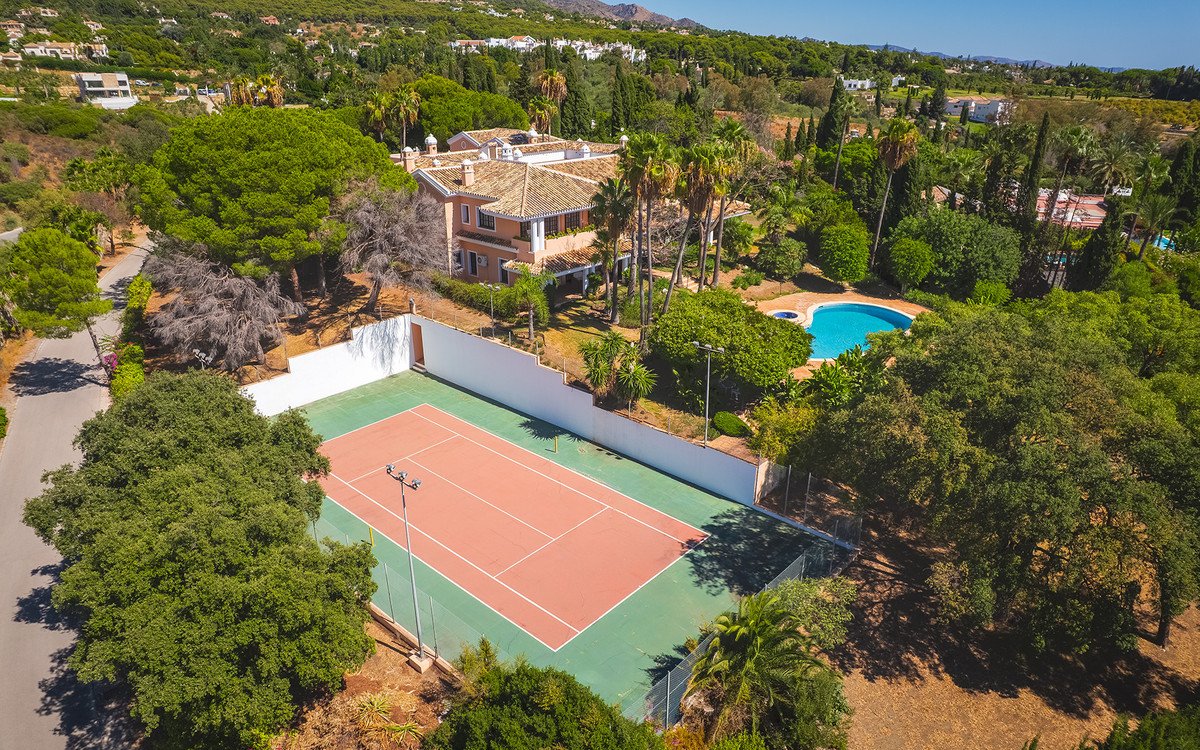 Property 36