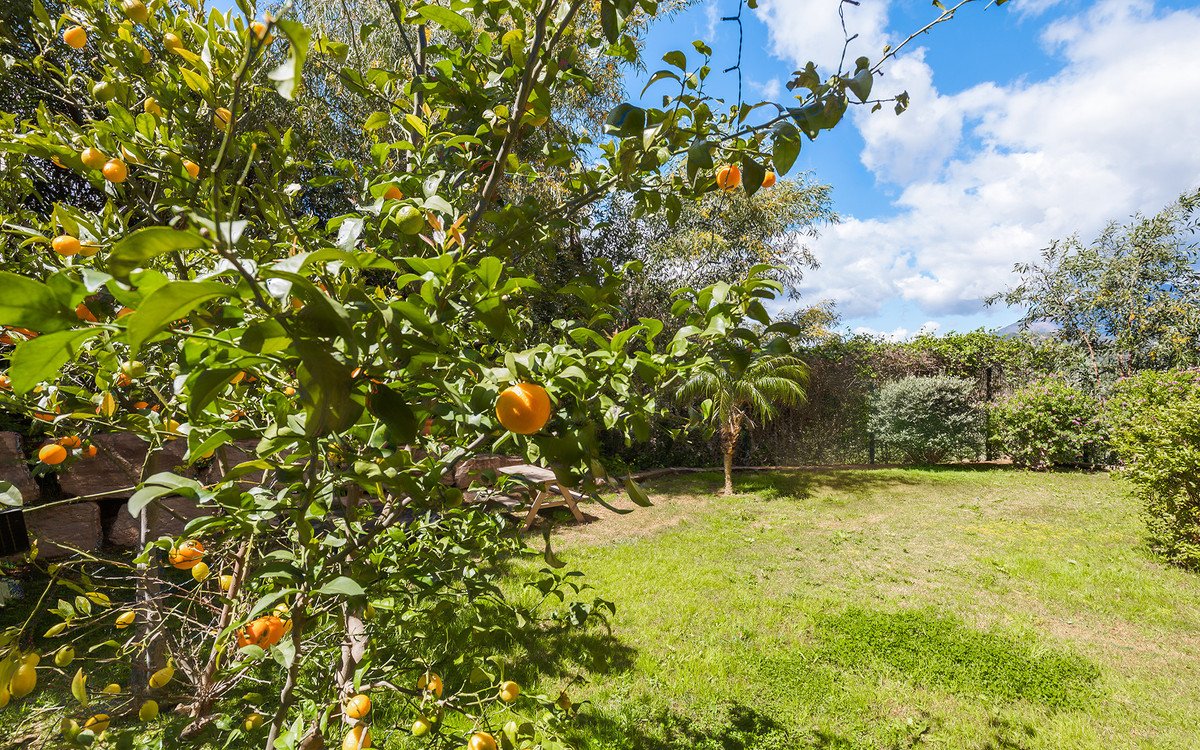 Property 25