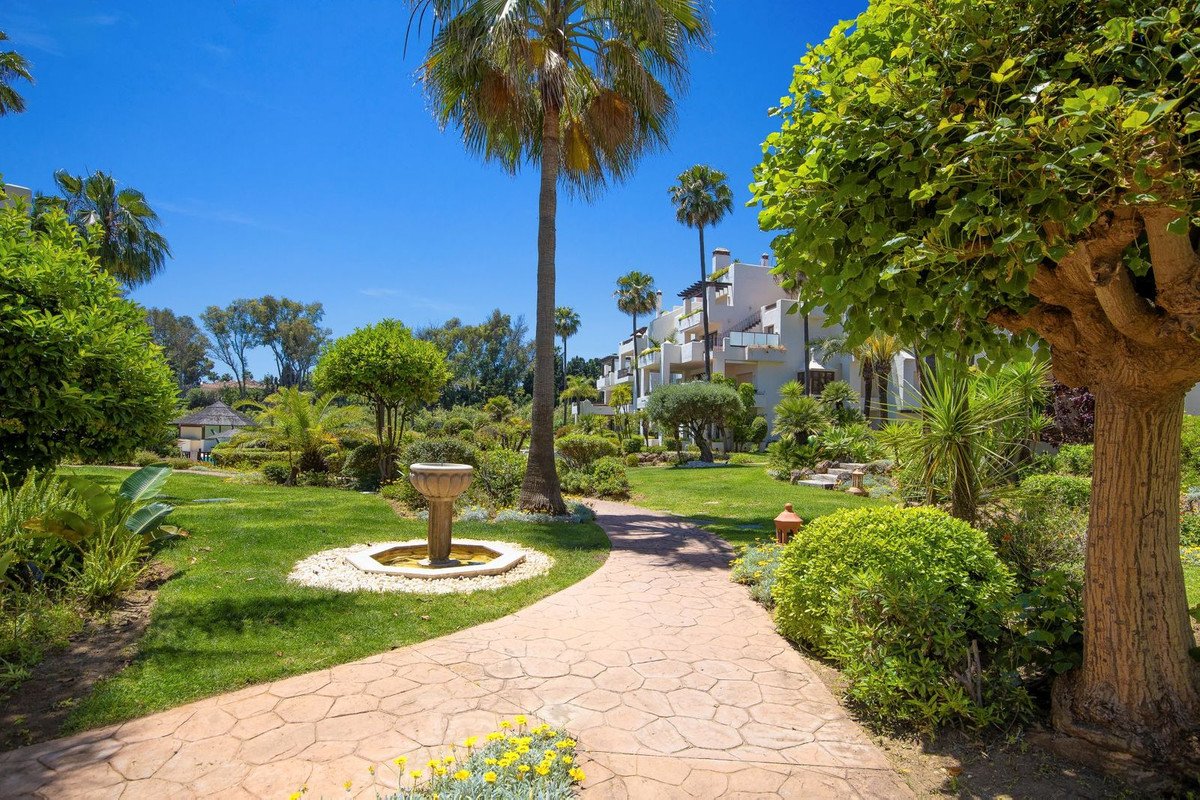 Property 32