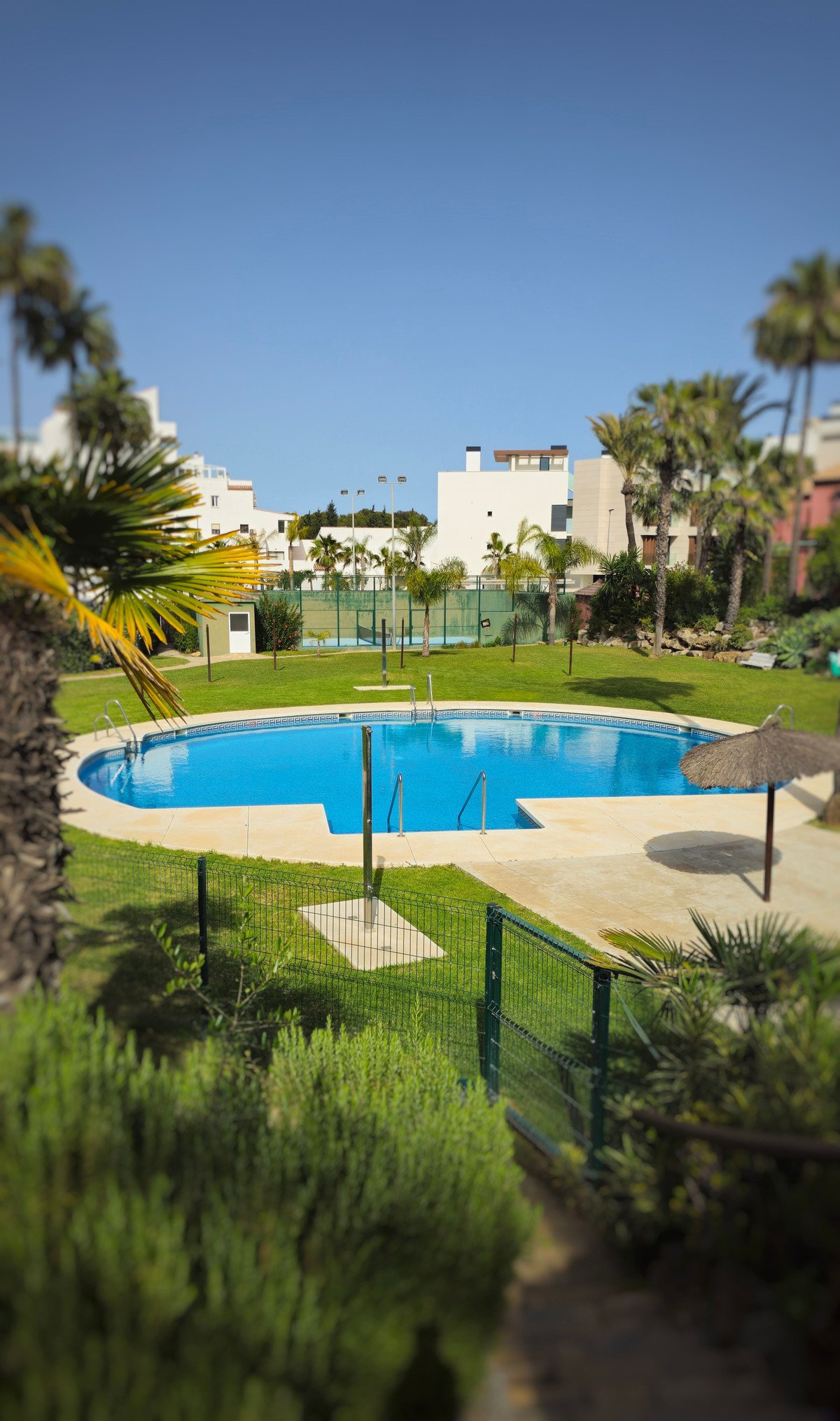 Property 24