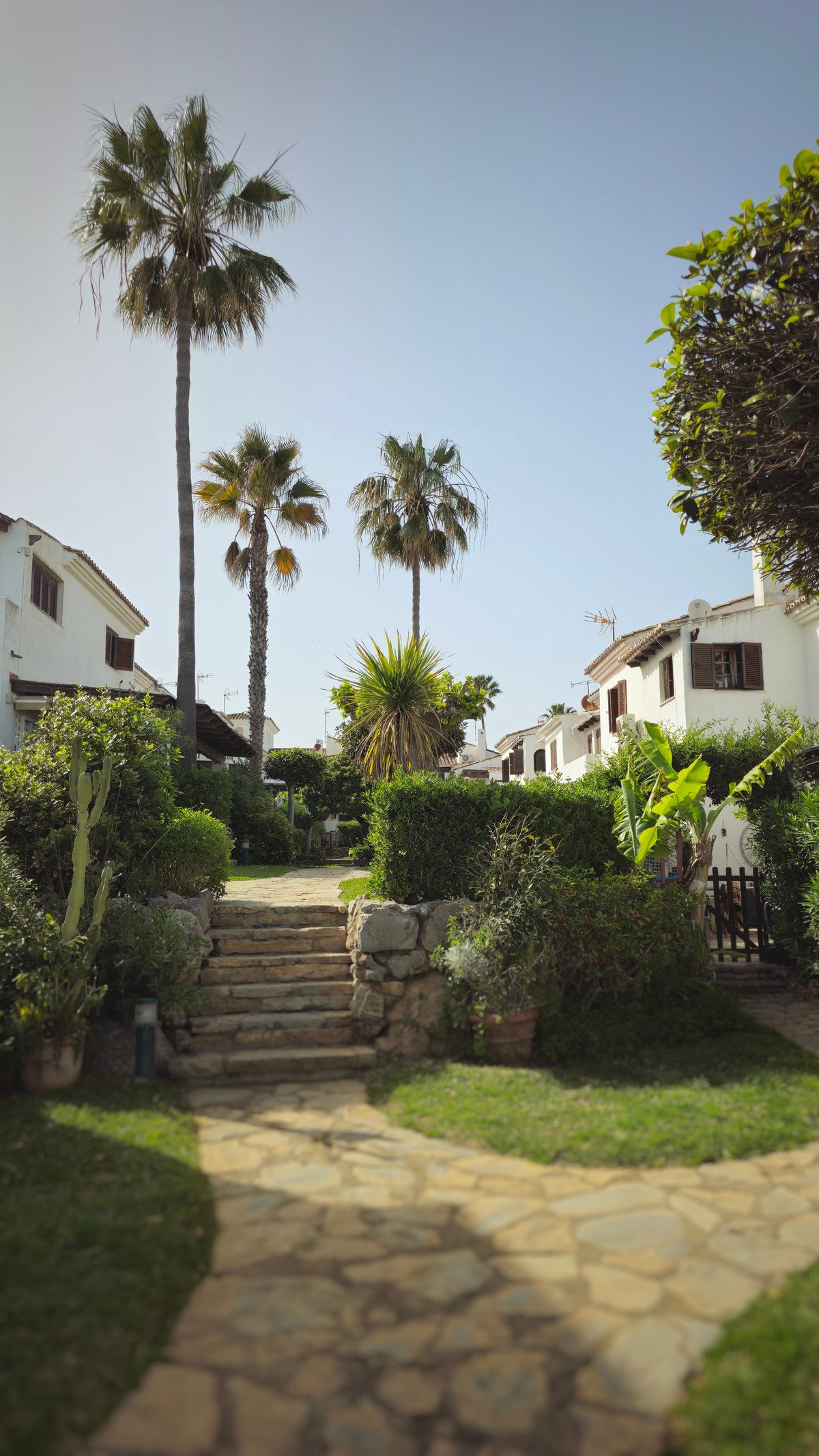 Property 26