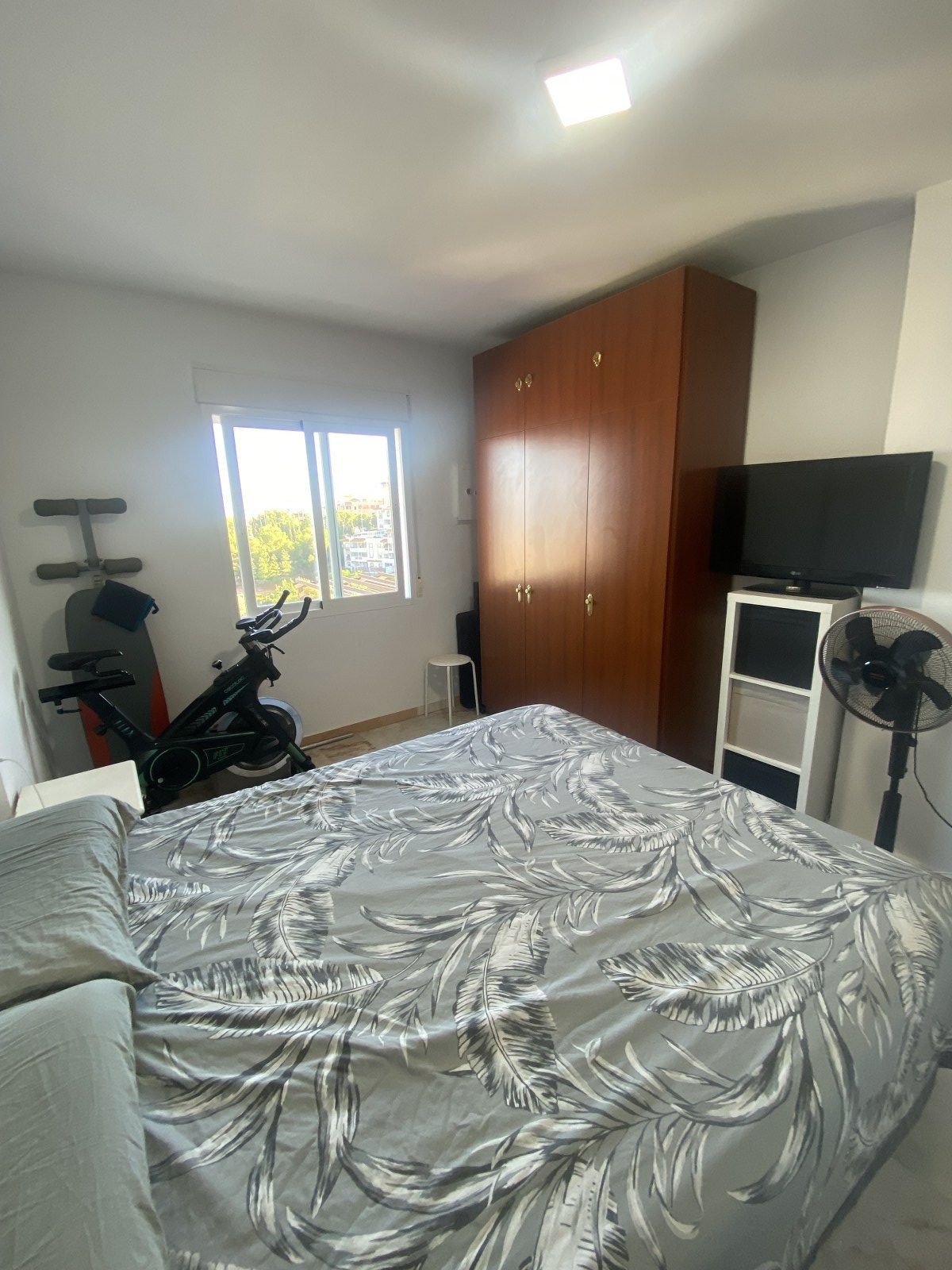 Property 31