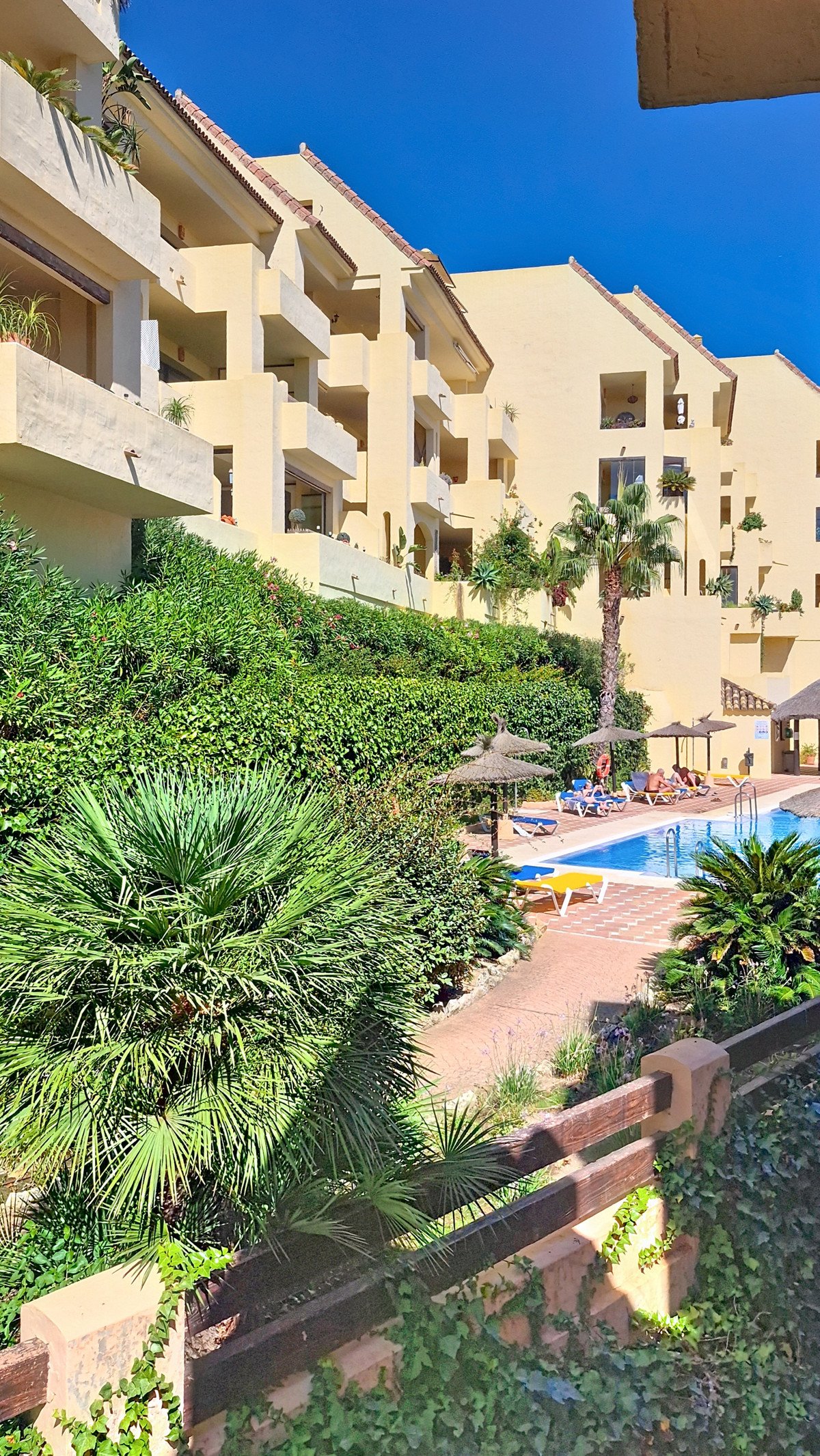 Property 38