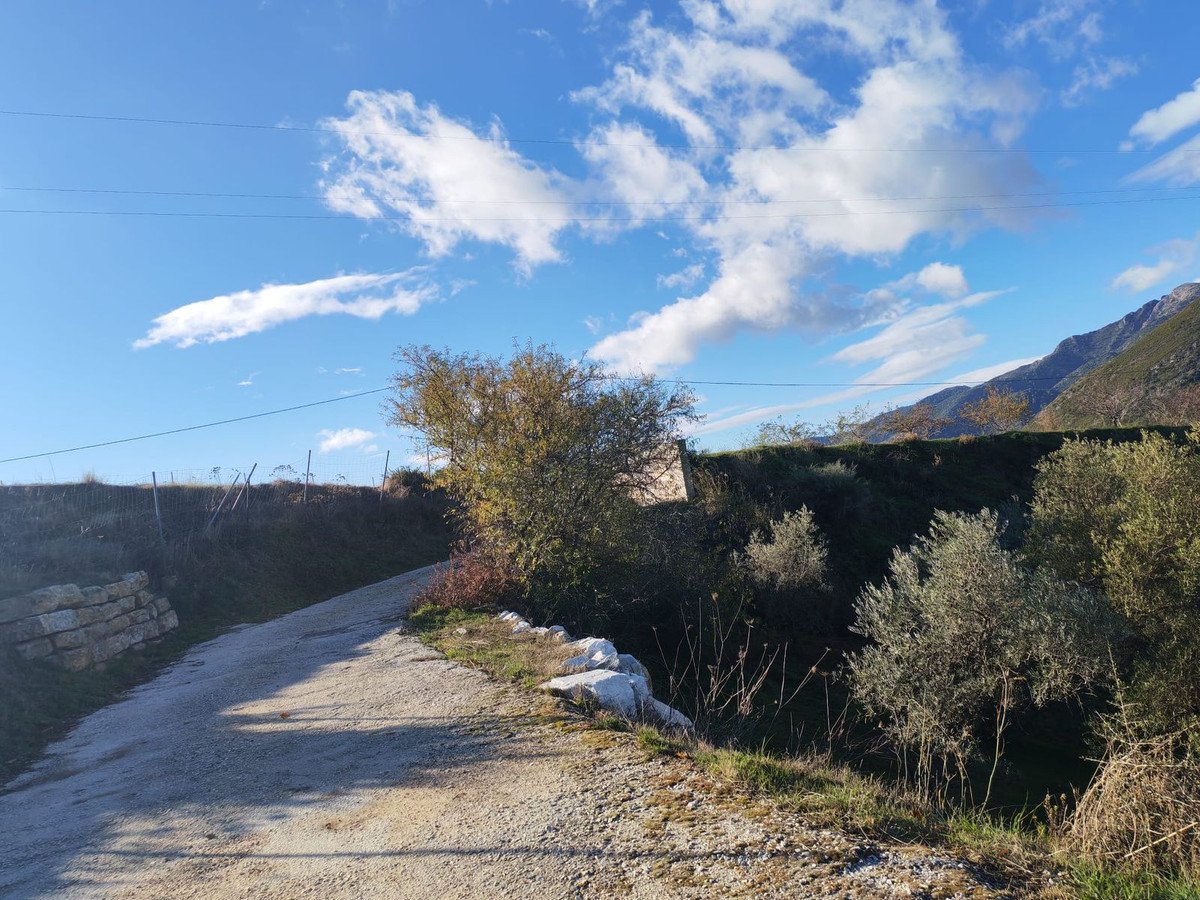 Property 29