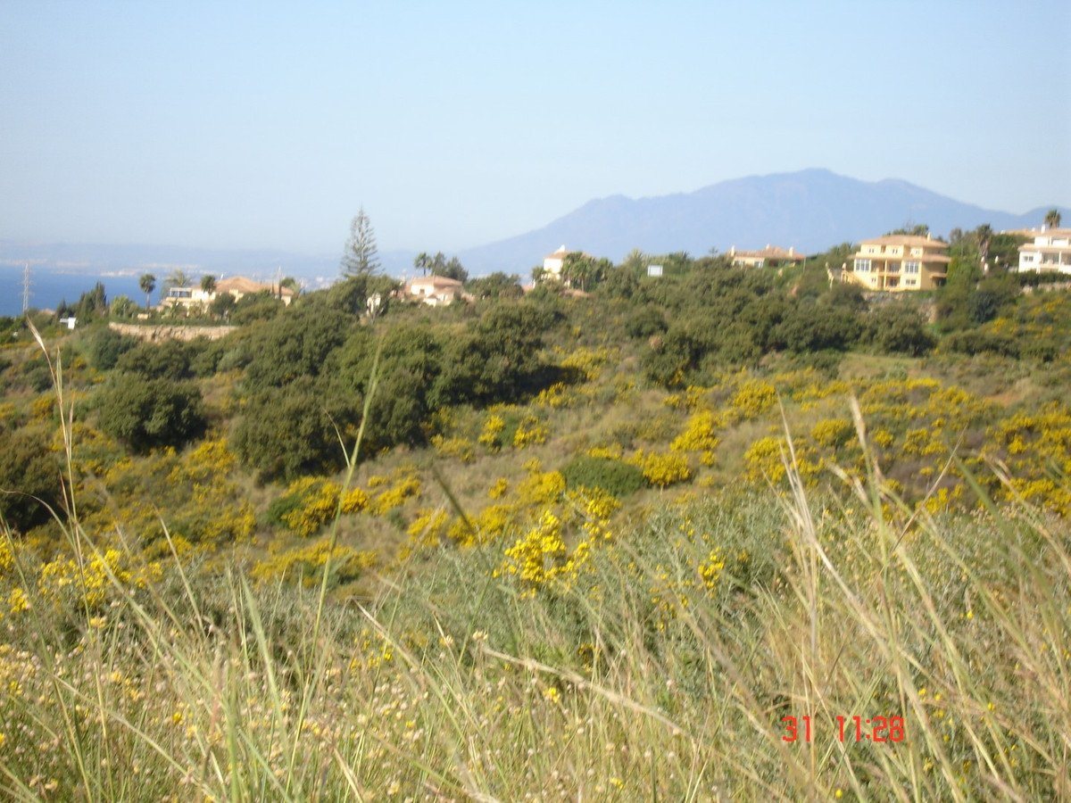 Propiedad 3