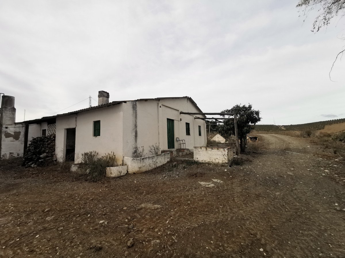 Propiedad 23