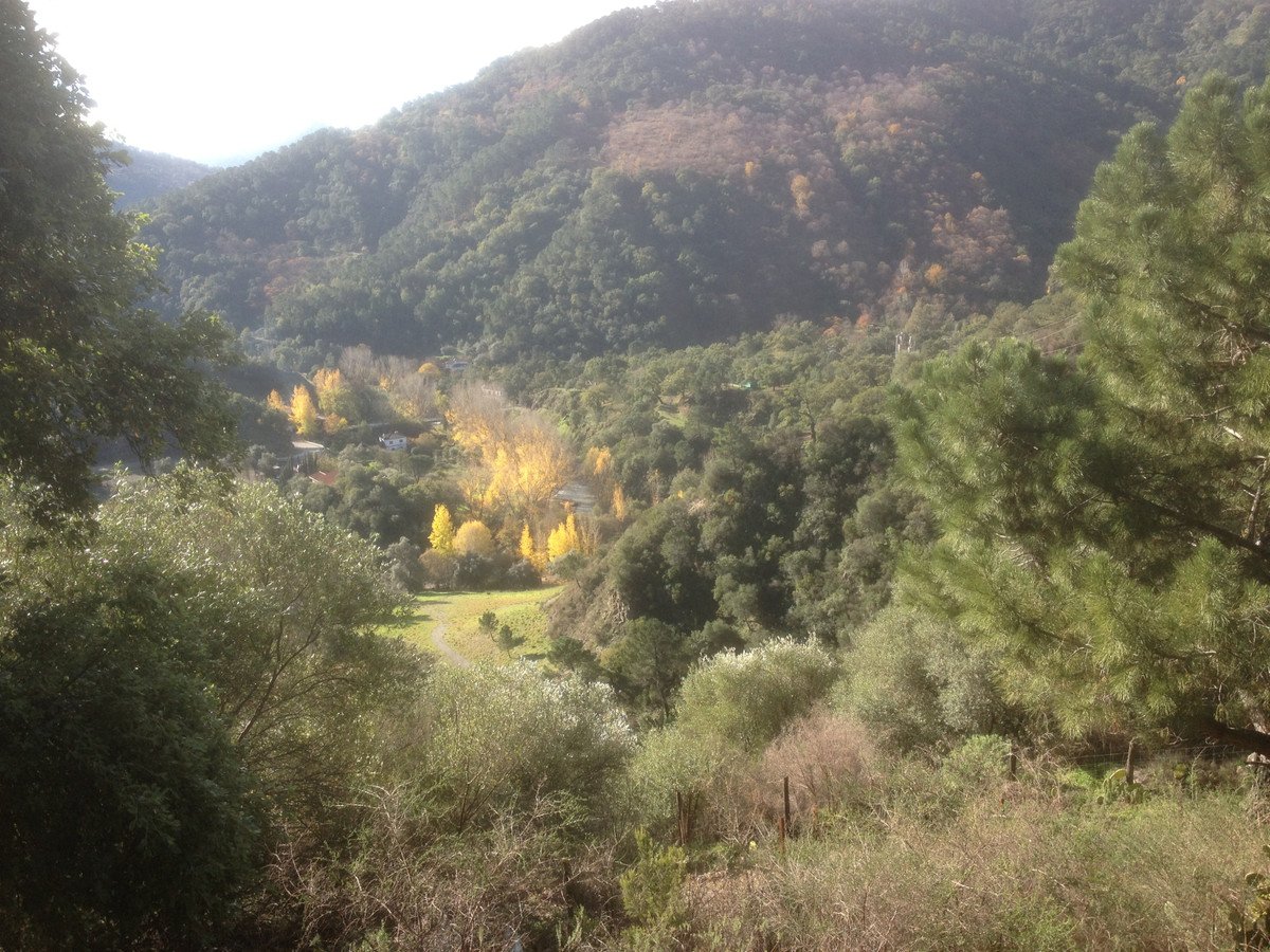 Propiedad 28