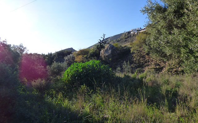 Propiedad 5