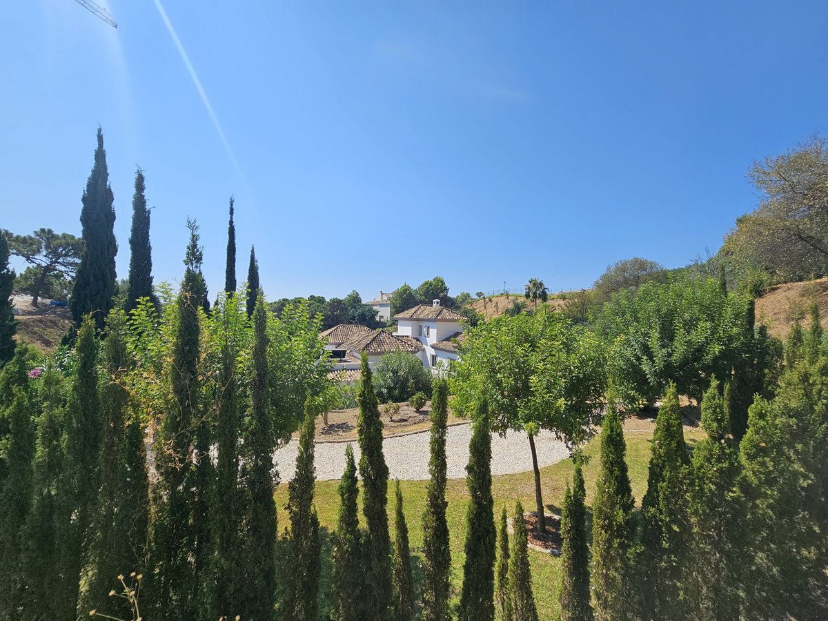 Propiedad 35