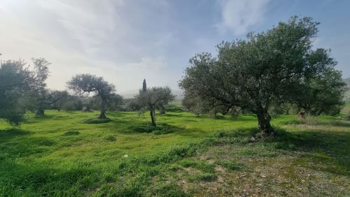 R4907803