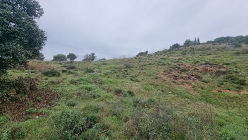 R5009152