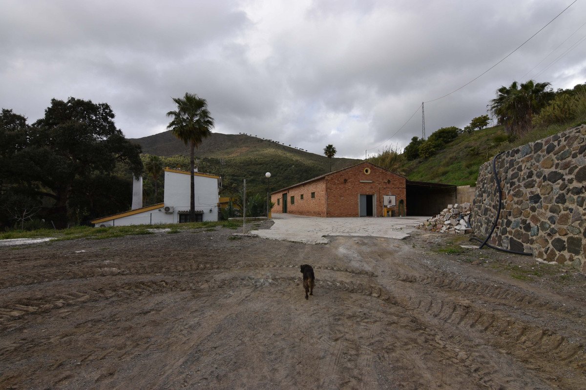 Propiedad 2