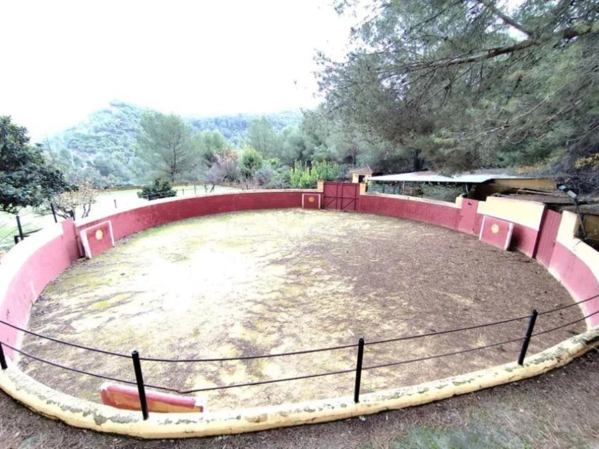 Propiedad 2