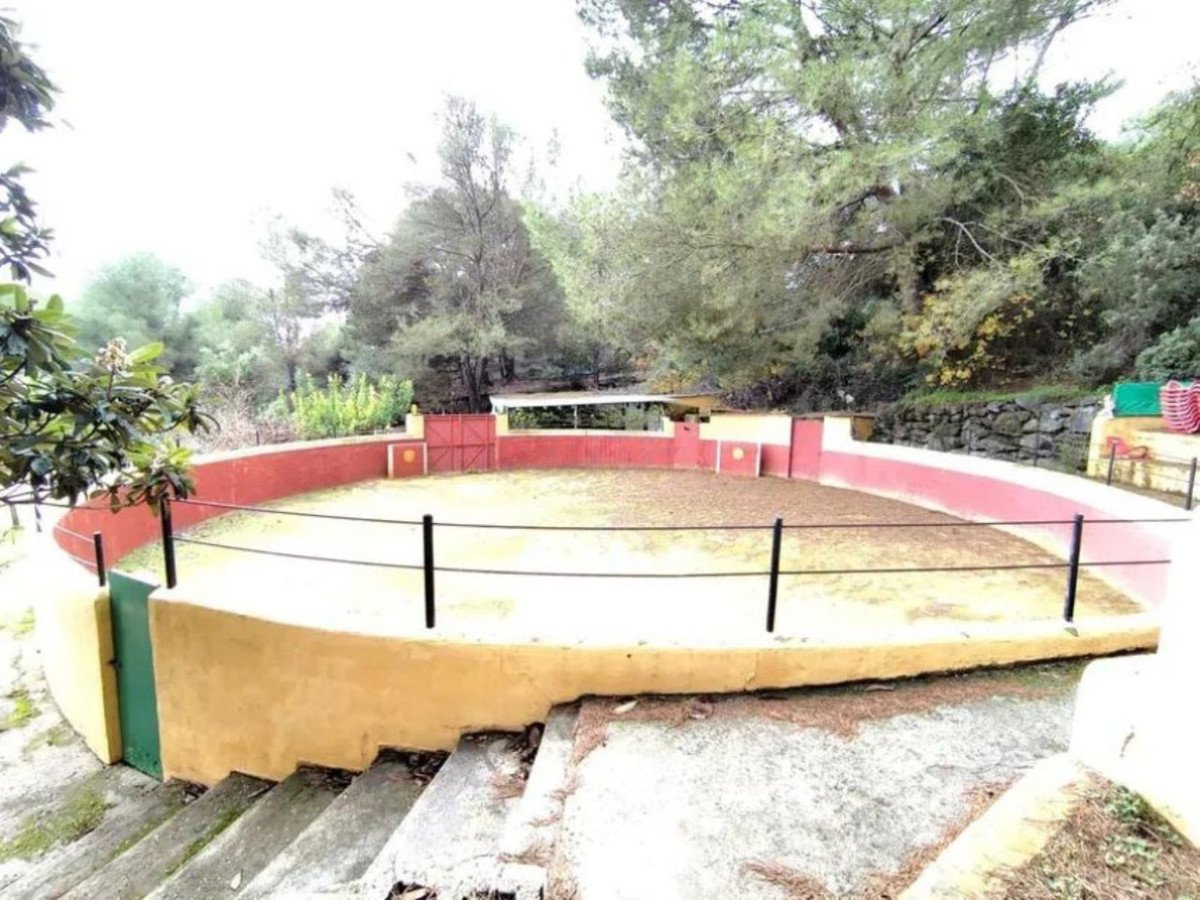 Propiedad 8