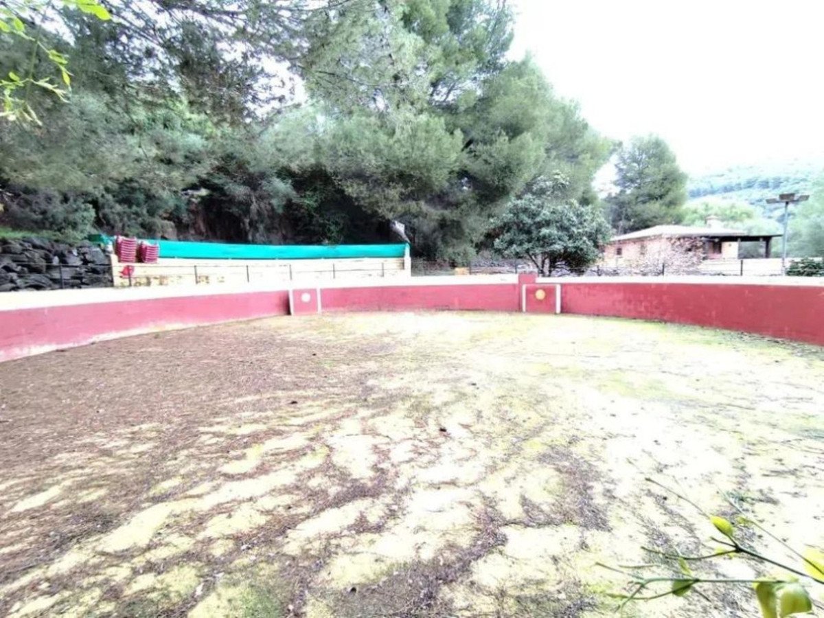 Propiedad 9
