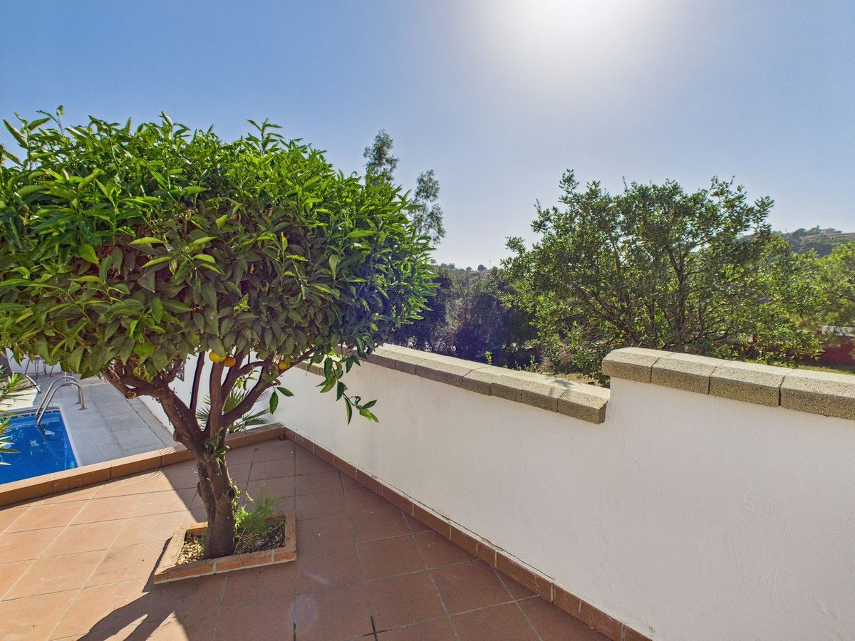 Property 35
